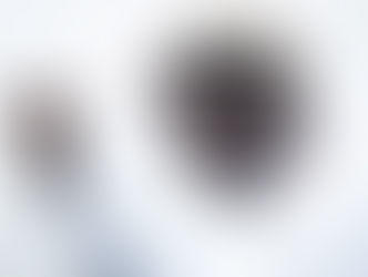 To the People's Champion: An Appreciation Letter to Raila Odinga For a Legacy Etched In Time