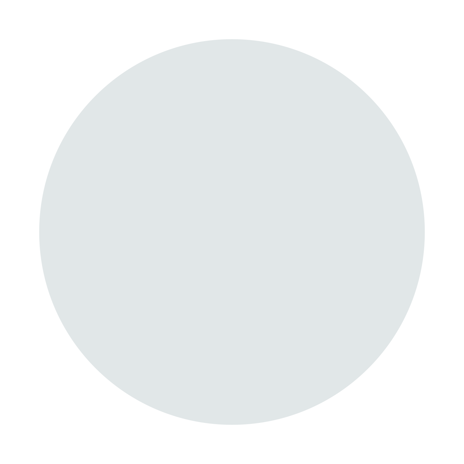 Ecolutionary_Grafik_02_FIN.gif
