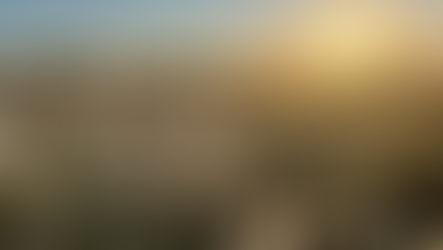 Tur til Frøylandsfeltet og Ulvatjørna