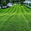 Thumbnail: Mowing services 