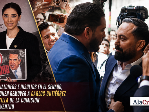 Tras jaloneos e insultos en el Senado, Maria Teresa Ealy Díaz propone remover a Carlos Gutiérrez Mancilla de la Comisión de Juventud