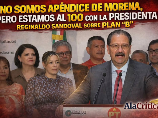 “No somos apéndice de Morena, pero estamos al 100 con la Presidenta”: Reginaldo Sandoval sobre Plan "B"