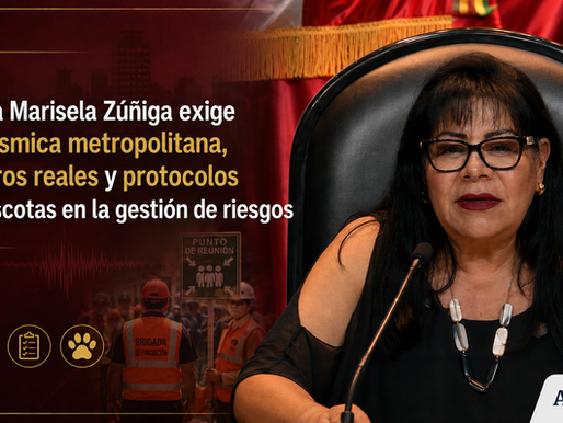 Diputada Marisela Zúñiga Cerón interviene en el Foro Diálogo Metropolitano de Gestión de Riesgos de Desastres en la Cámara de Diputados