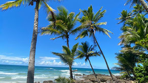 WorldPackers - Bahia | 2020