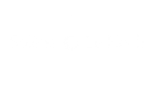Solène Le Floch (2).png