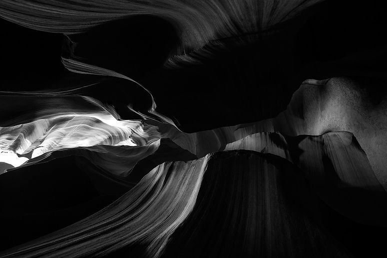 Stone-Foliage-#8