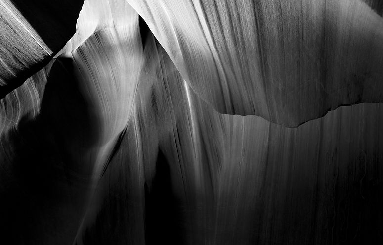 Stone-Foliage-#2.jpg