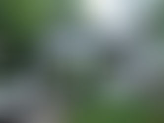 ಕಲ್ಯಾಣ ಕರ್ನಾಟಕ ಮಾನವ ಸಂಪನ್ಮೂಲ, ಕೃಷಿ ಹಾಗೂ ಸಾಂಸ್ಕೃತಿಕ ಸಂಘದಲ್ಲಿ ಅಕ್ರಮ ಆರೋಪ: ತನಿಖೆಗೆ ನಿವೃತ್ತ ಐಎಎಸ್ ಅಧಿಕಾರಿ ನೇಮಕ