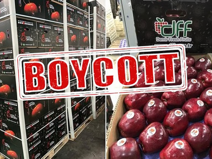 ಪಾಕಿಸ್ತಾನಕ್ಕೆ ಬೆಂಬಲ: Turkeyಗೆ ಶಾಕ್ ಕೊಟ್ಟ ಆ್ಯಪಲ್ ವ್ಯಾಪಾರಿಗಳು, #boycottTurkey ವೈರಲ್!