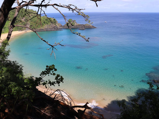 Praias de Fernando de Noronha 🏝️🌊