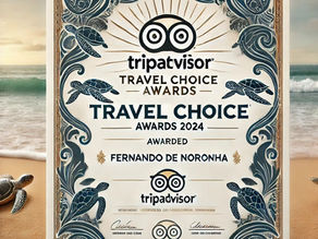Prêmio Travel Choice Awards 2024: Reconhecimento à Excelência da Alga Noronha
