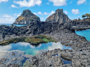 O que fazer em Noronha em 5 dias - Alga Noronha
