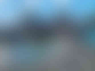 Piscinas Naturais em Noronha - Alga Noronha