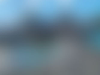 Alga Tour in Noronha - Agência de Turismo e Passeios em Fernando de Noronha