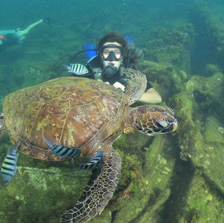 Mergulho em Fernando de Noronha - Alga Noronha