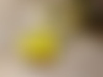 5 Tips for Building a Successful Customer Loyalty Program