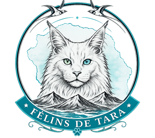 logo felins de tara-02082b2deca94e04a3e34337705405da.png
