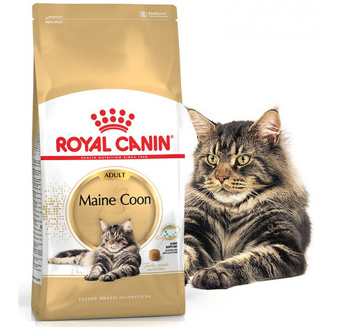 maine-coon-adulte-royal-canin.jpg