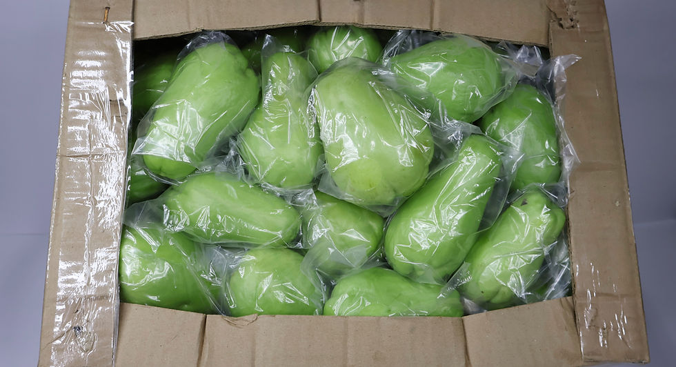 CHAYOTE