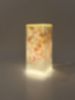 Luminaire Lamp_25