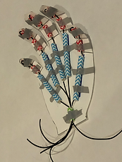 C725E613-1473-44AA-B6C9-A3899928A0B9.png
