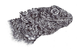 20150506092838615_0002