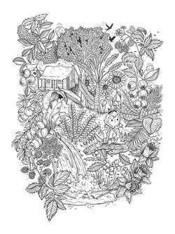 Nature Garden