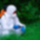 pest control_back yard.jpg