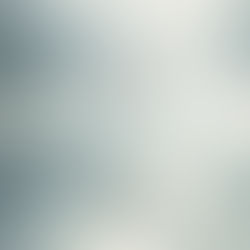 Gaviota en pleno vuelo