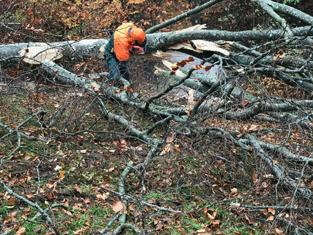 Holz vor der Hütte