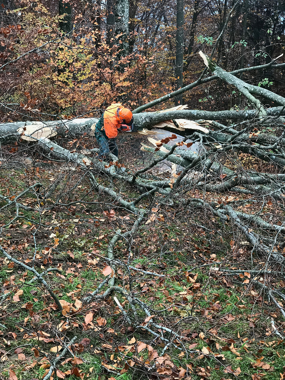 Holz vor der Hütte