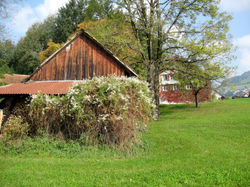 IMG_3697.jpg