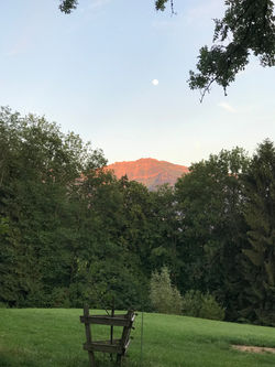 IMG_0117.jpeg