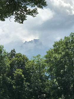 IMG_2189.jpeg