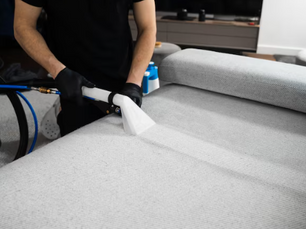 Carpet Cleaning and Moisture Control: Preventing Mold in Renton Homes