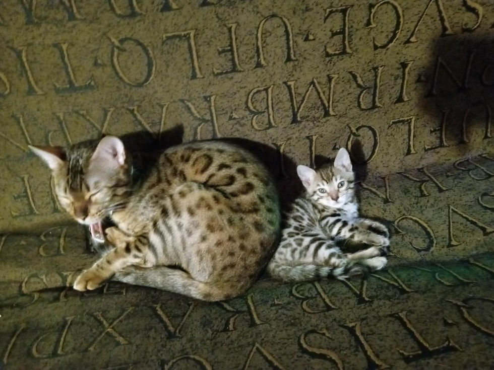 mother baby