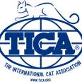 TICA logo.png