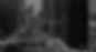 AdobeStock_267424324_edited_edited.jpg