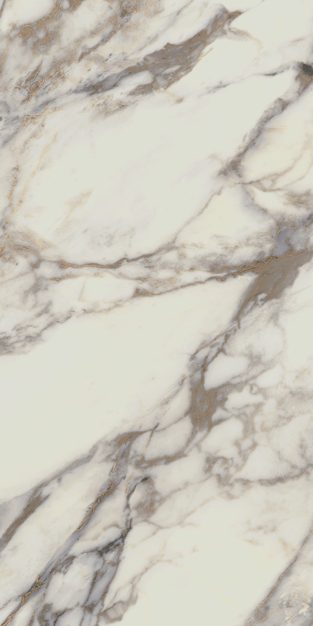 CARISO Natural 24x48 Porcelain Tile