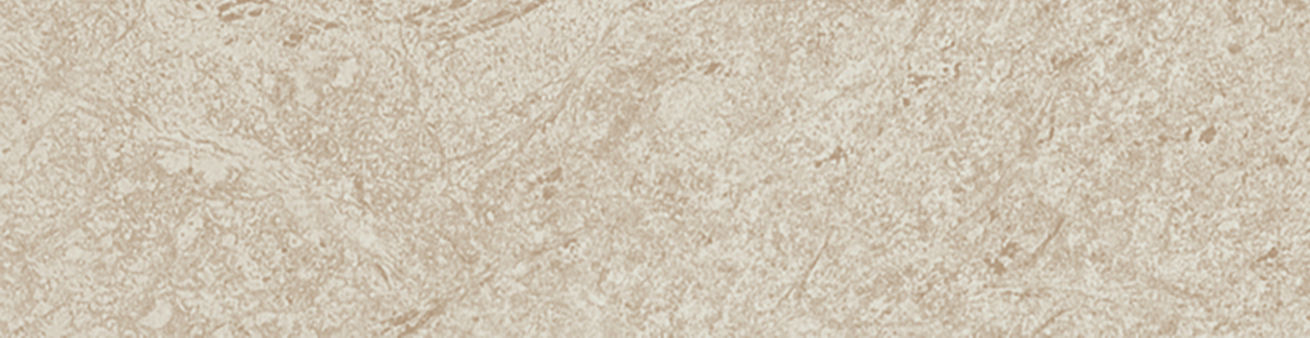 VERZA Mink 3x12 Bullnose Porcelain Tile