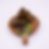 Grape Leaves