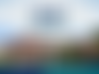 Alki Mid-July Update: Working with the City for Alki