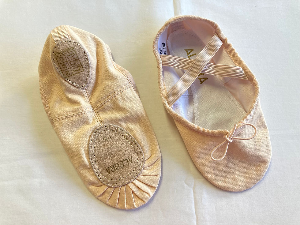 Alegra Canvas Split Sole