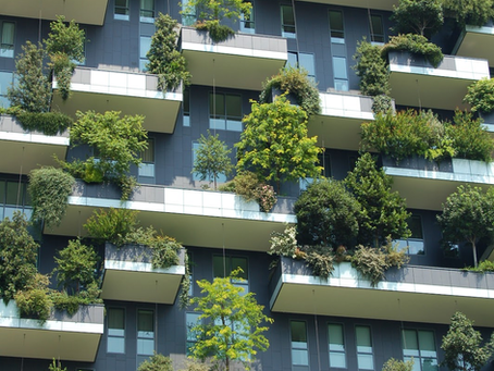 Eco-Brutalism là gì? Xu hướng kết hợp vật liệu thô, tái chế và không gian xanh