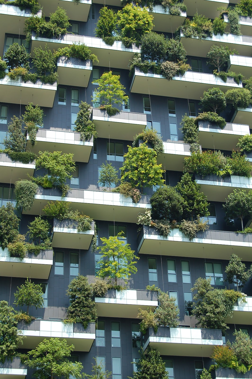 Eco-Brutalism là gì? Xu hướng kết hợp vật liệu thô, tái chế và không gian xanh