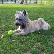 Resized_20220117_113938.jpeg