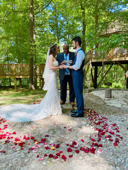 Rose petals at The Nest Tree house