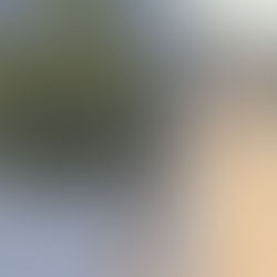 CA 남부, 오늘부터 강풍..주말 정점