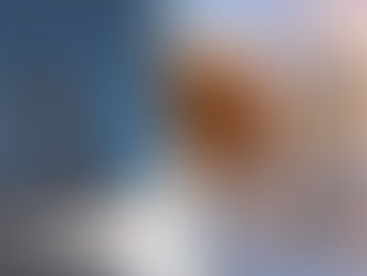 벨라지오 등 라스베이거스 최고급 호텔 4곳서 ‘빈대’ 나와