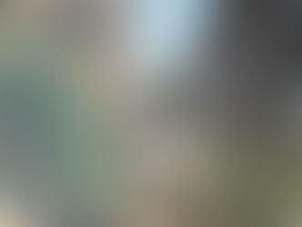 LA 한인타운, 신규 부지-공원 확장..녹지 문제 변화 바람